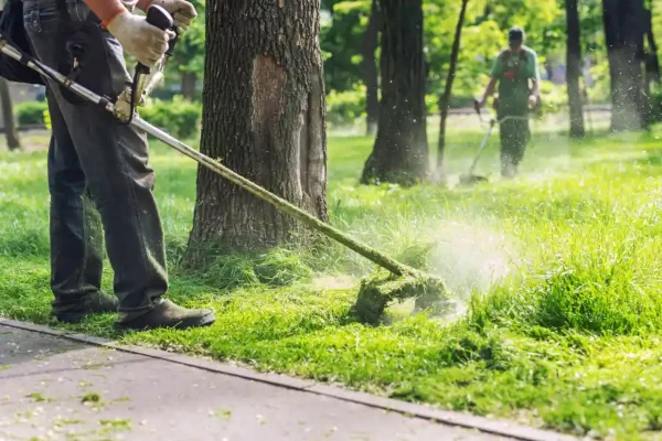 Grass Cutting