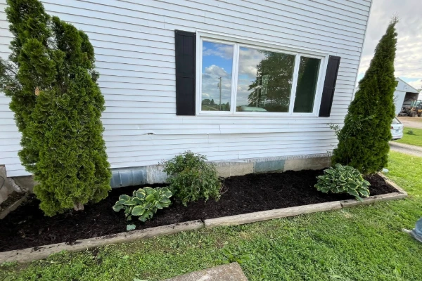 K&N Lawn Services's Other Services