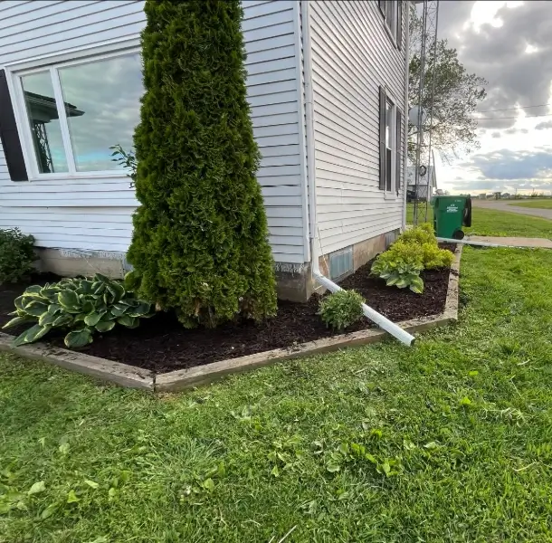 Professional Landscape Company