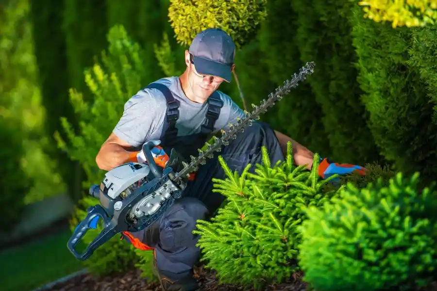 Professional Landscaping Services
